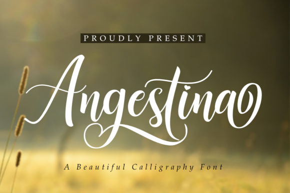 Angestina: A Touch of Elegance