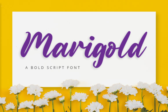 Marigold: A Timeless Handwritten Style for Every Design