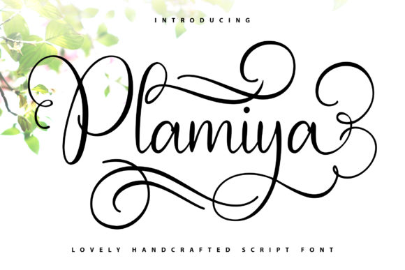 Plamiya: A Handwritten Font That Elevates Design